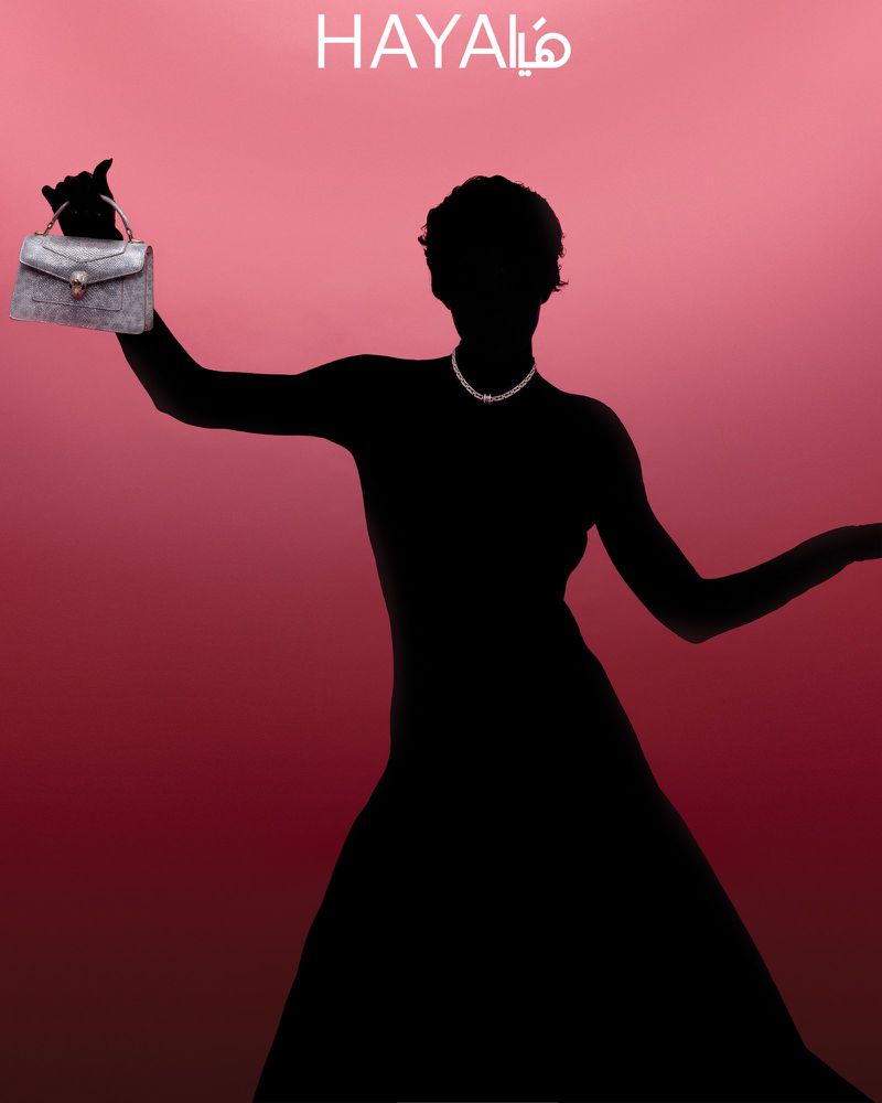Silhouette of a woman holding a small structured handbag and wearing a necklace against a graduated pink studio background.