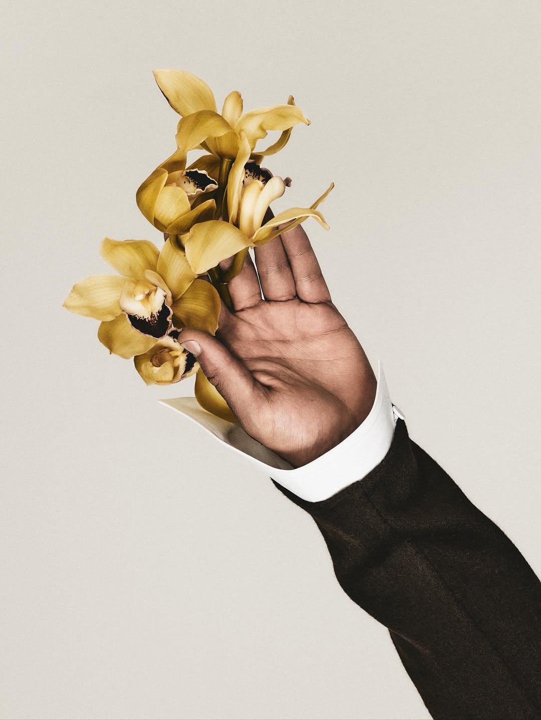 Close-up of a person's hand holding a bouquet of yellow orchids against a neutral background, showcasing botanical beauty and elegance.