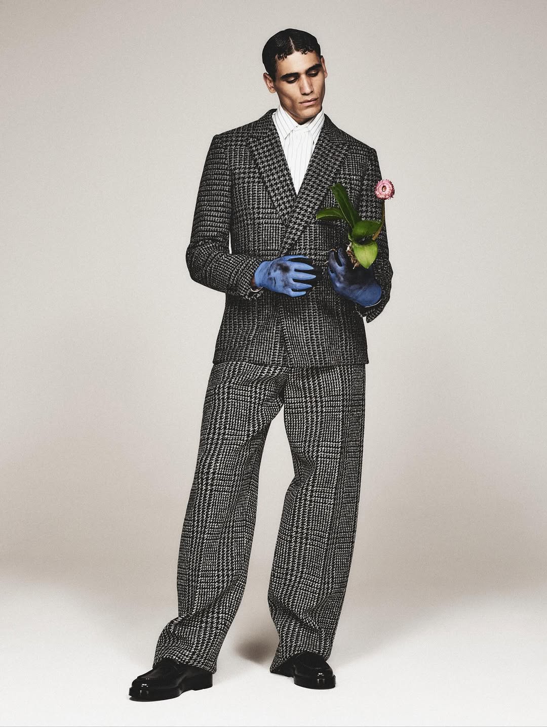 Man in a houndstooth suit holds a flowering plant in blue gloves. Fashion shot on a neutral background. Portrait with plant and formalwear.