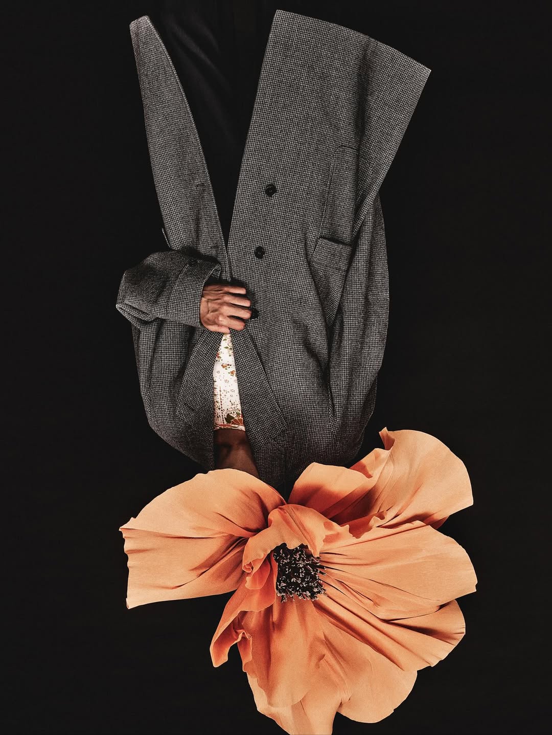Fashion-forward composition featuring a gray wool coat juxtaposed with a large coral flower against a stark black background, creating a striking visual contrast.