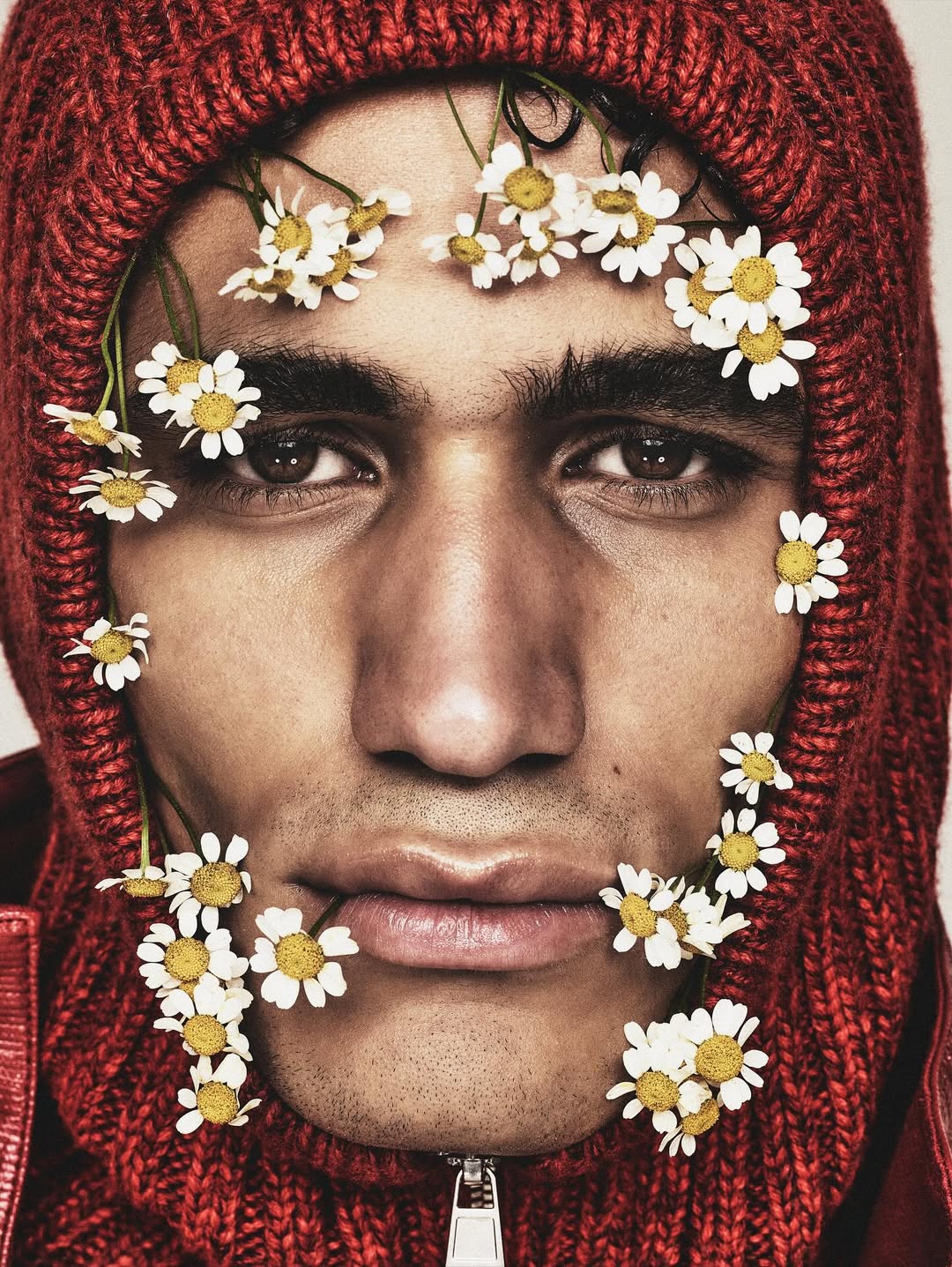 Portrait of a man in a red hood with chamomile flowers around his face, lit with bright studio lighting against a beige background.