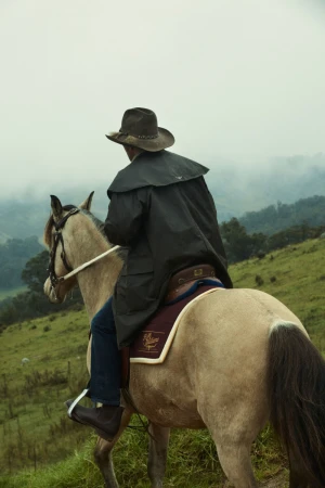 An adult rides a horse through a hilly, grassy landscape, wearing a dark coat and hat, under an overcast sky. Equestrianism theme.