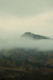 Misty fog rolling over a rolling green valley and dark tree-covered hilltops under an overcast sky.