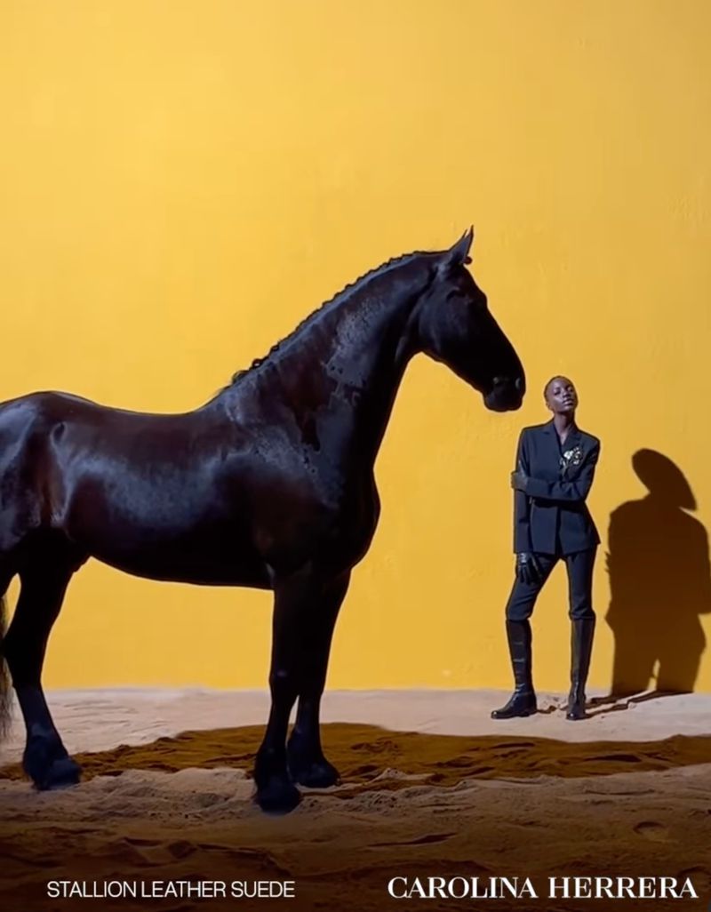 A dark horse stands beside an African-American woman in a suit in a studio setting with a yellow backdrop and neutral ground.