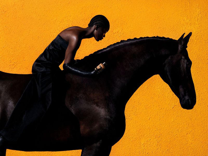 A striking studio shot captures a Black woman in a strapless dress riding a dark horse against a vivid yellow backdrop, in a portrait-style composition.