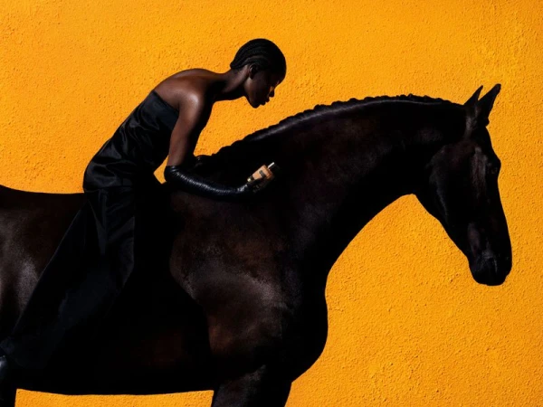 A striking studio shot captures a Black woman in a strapless dress riding a dark horse against a vivid yellow backdrop, in a portrait-style composition.