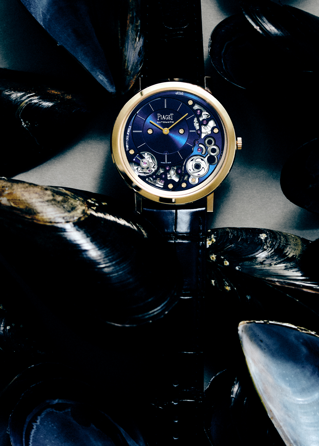 Luxury gold and blue Piaget watch with skeleton face on a black leather strap, surrounded by black mussel shells, studio lighting.