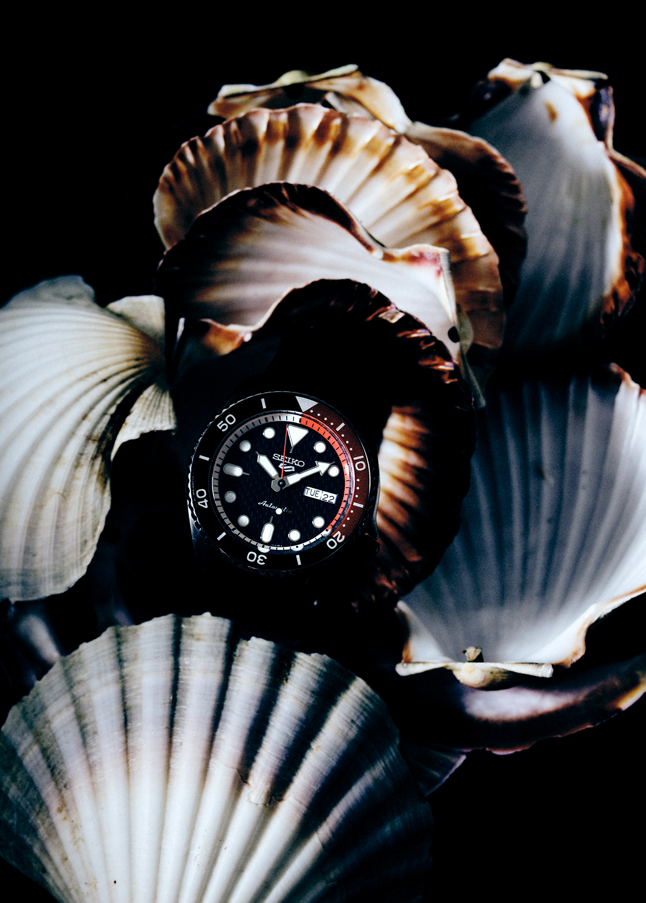Close-up product shot of a Seiko automatic watch nestled in a bed of white and brown seashells on a black background.