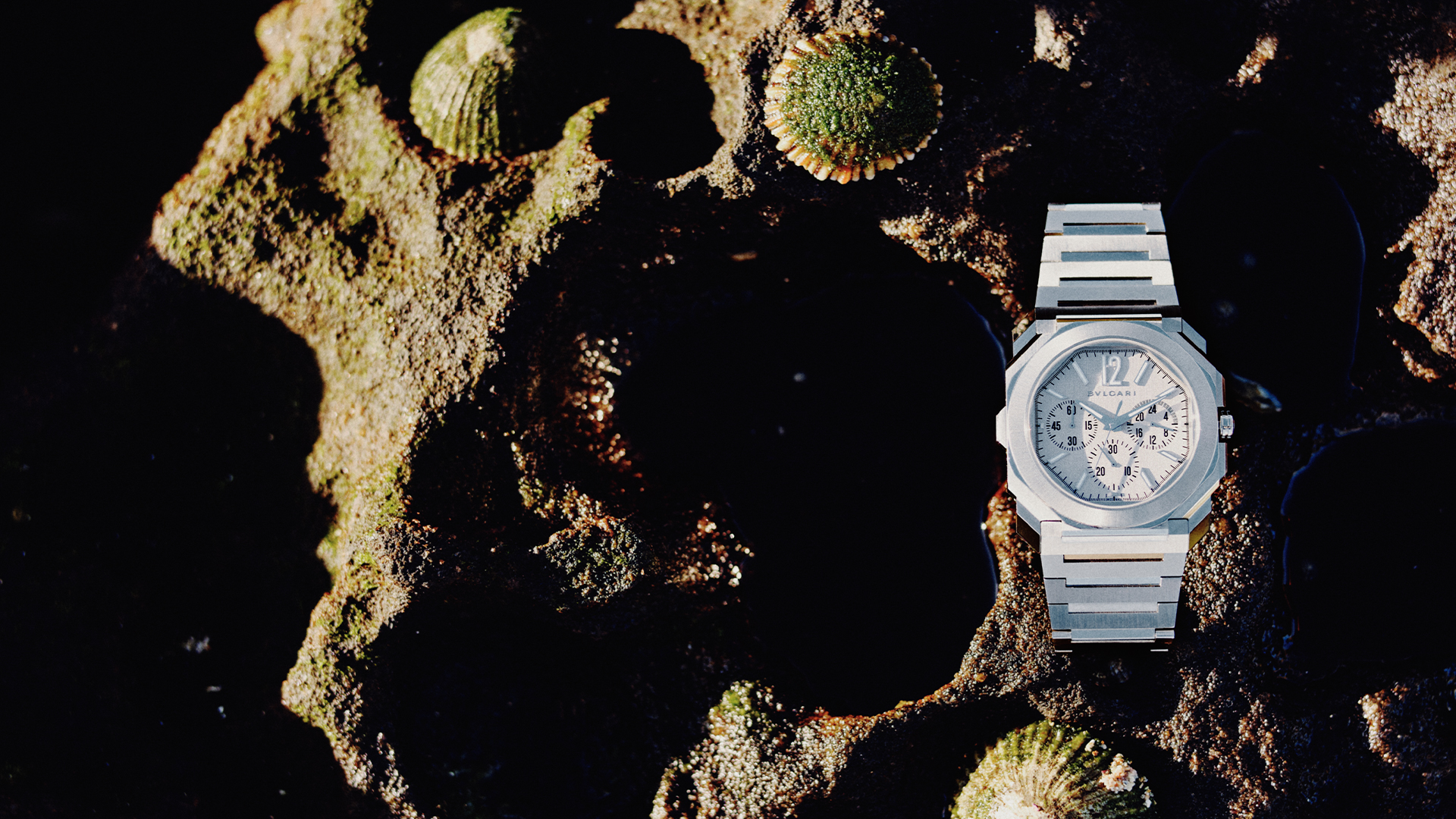 Silver luxury wristwatch with a gray face sitting on a dark rock with barnacles in natural light casting shadows and highlights.