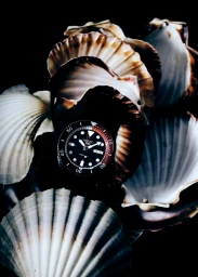 Close-up of a dark wristwatch nested among textured seashell fragments against a dark background for Icon Magazine Australia.