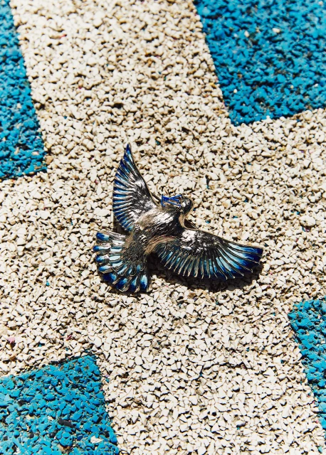 Silver-colored eagle figurine with blue accents displayed on a beige gravel-covered surface with blue geometric patterns.