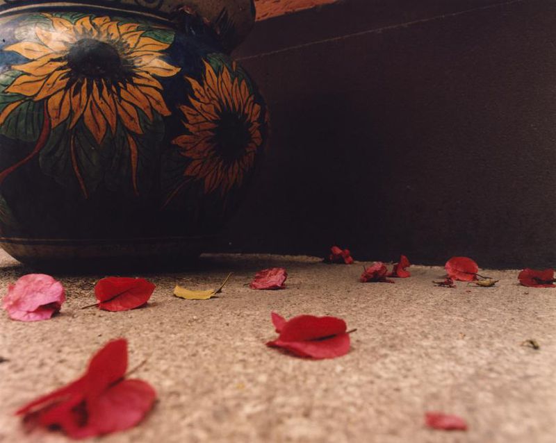 Close-up of a decorative vase with sunflower motifs sitting on a concrete surface scattered with red and yellow leaves against a dark wall.