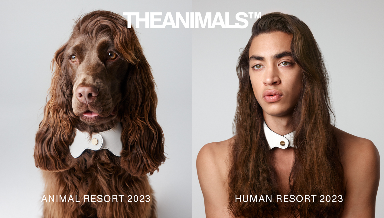 Split image: a brown dog with human-like hair and white collar alongside a human with a similar hairstyle and collar.