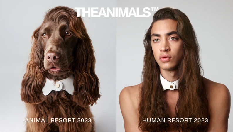 Split image: a brown dog with human-like hair and white collar alongside a human with a similar hairstyle and collar.