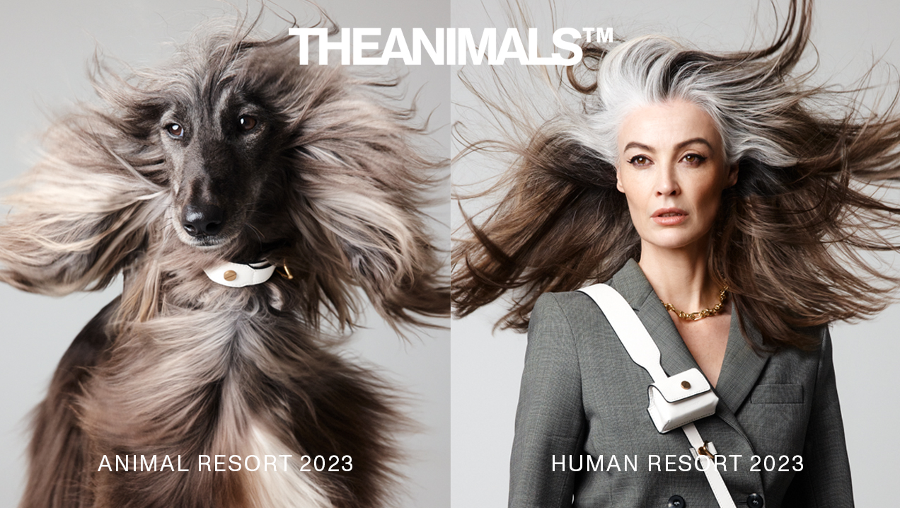 Split-screen portrait of an Afghan Hound and a woman with windswept hair, in a grey studio, promoting a resort concept for 2023.